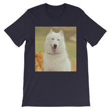 Dog t-shirt