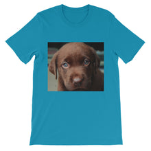 Puppy t-shirt