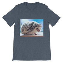Hedgehog t-shirt