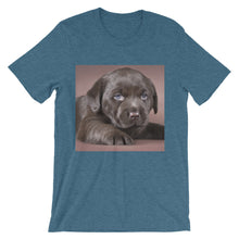 Puppy t-shirt