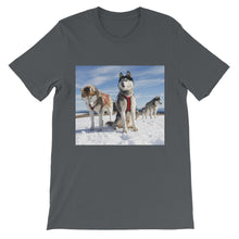 Huskies t-shirt