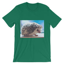 Hedgehog t-shirt