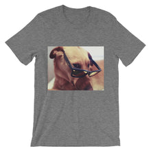 Dog with glasses t-shirt