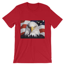 Patriotic t-shirt