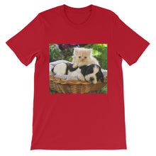 Kitten and Puppy t-shirt
