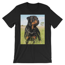 Rottweiler t-shirt