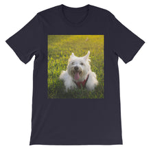 Dog t-shirt