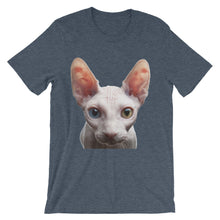 Cat t-shirt