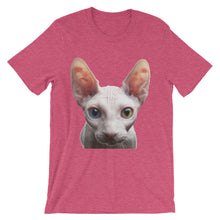 Cat t-shirt