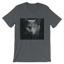 Cat t-shirt
