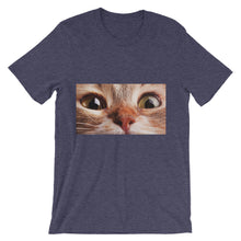 Cat t-shirt
