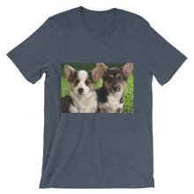 Corgis t-shirt