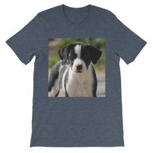 Dog t-shirt