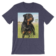 Rottweiler t-shirt