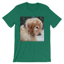 Dog t-shirt
