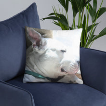 Duke Pillow