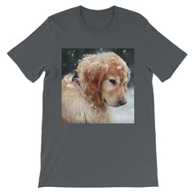 Dog t-shirt