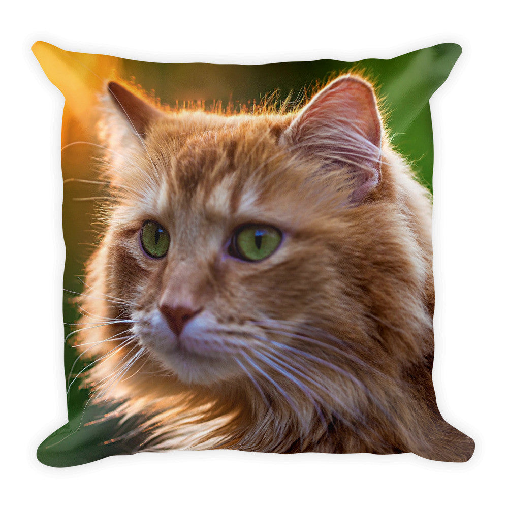 Cat Pillow