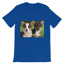 Corgis t-shirt