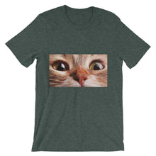 Cat t-shirt