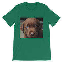 Puppy t-shirt