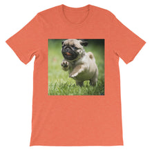 Pug t-shirt