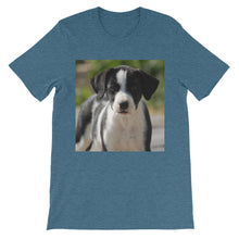 Dog t-shirt