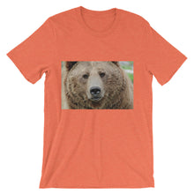 Bear t-shirt