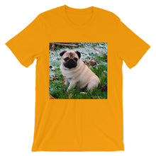 Pug t-shirt