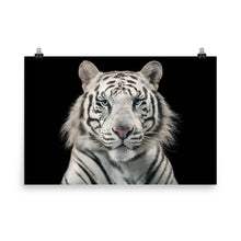 White Tiger poster