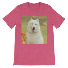 Dog t-shirt