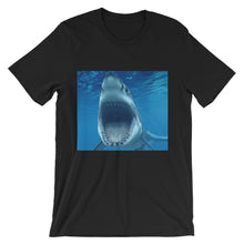 Shark t-shirt