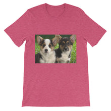 Corgis t-shirt
