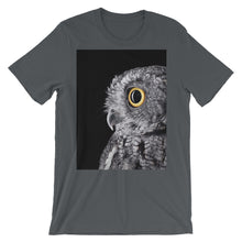 Owl t-shirt