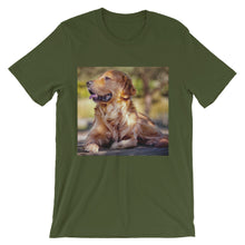 Dog t-shirt
