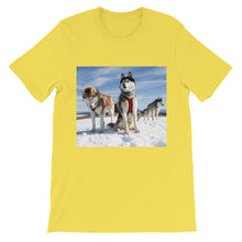 Huskies t-shirt