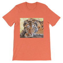 Tiger t-shirt