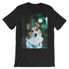 Corgi t-shirt