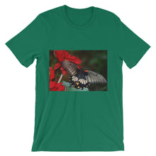 Butterfly t-shirt