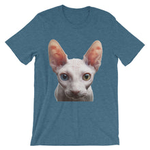 Cat t-shirt