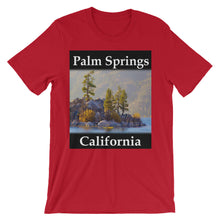 Palm Springs t-shirt