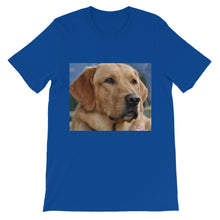 Dog t-shirt