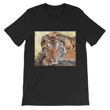 Tiger t-shirt