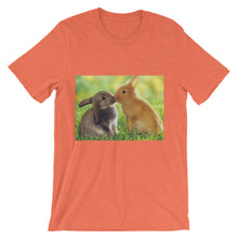 Rabbits t-shirt
