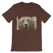 Bear t-shirt