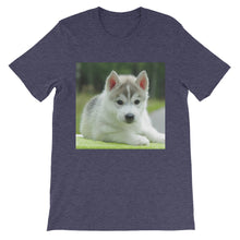 Puppy t-shirt