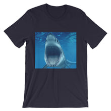 Shark t-shirt