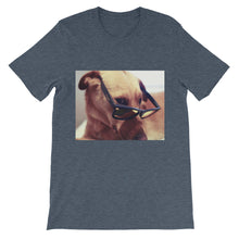 Dog with glasses t-shirt
