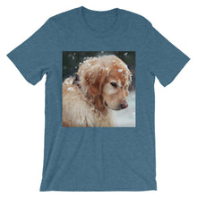Dog t-shirt