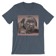 Puppy t-shirt